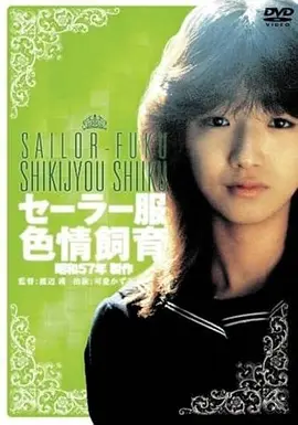 租来的恋人短剧海报
